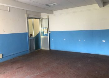 Foto 21 - Attività Commerciale Via Sarzanese Sud, Massarosa - foto 21