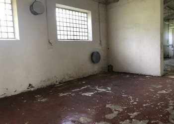 Foto 29 - Attività Commerciale Via Sarzanese Sud, Massarosa - foto 29