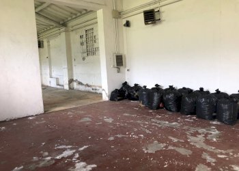 Foto 31 - Attività Commerciale Via Sarzanese Sud, Massarosa - foto 31