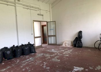 Foto 33 - Attività Commerciale Via Sarzanese Sud, Massarosa - foto 33