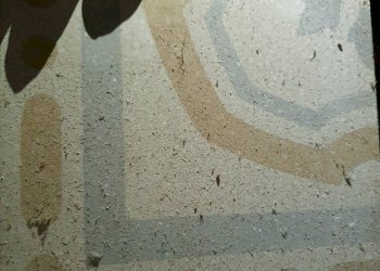 Foto 9 - Commercial Activity Via Augusto Passaglia
 
210, Lucca - photo 9