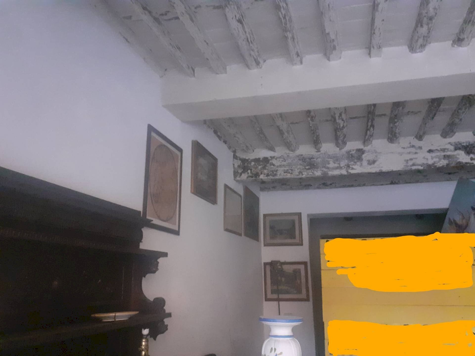 Foto 1 - Commercial Activity Via Borgo Giannotti, Lucca - photo 1