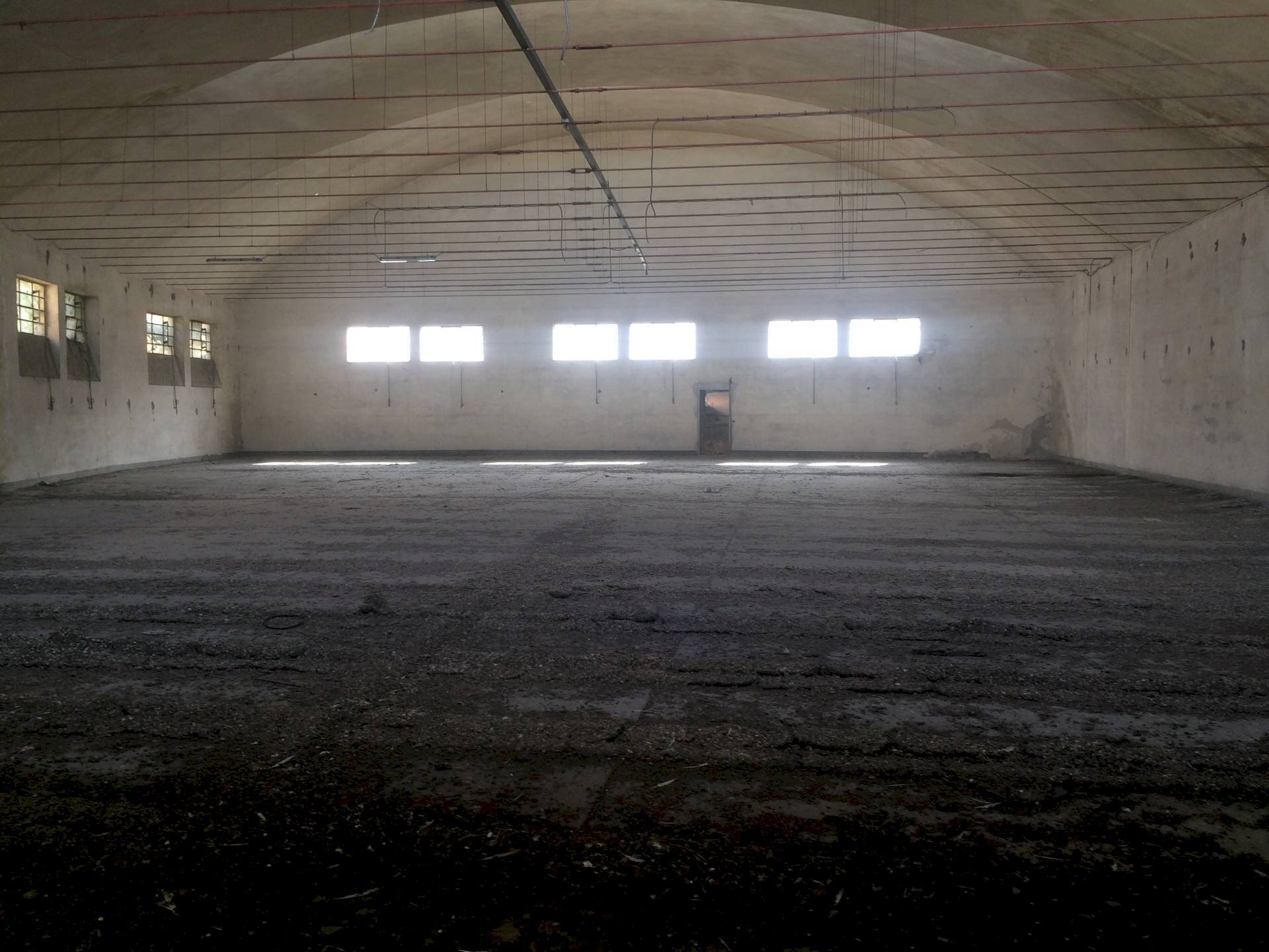 Foto 3 - Attività Commerciale Lucca - foto 3