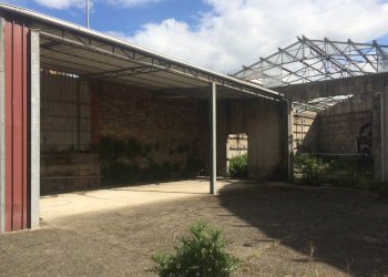 Foto 5 - Attività Commerciale Lucca - foto 5