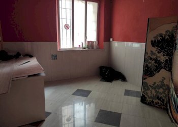 Foto 5 - Attività Commerciale via cavour, Altopascio - foto 5