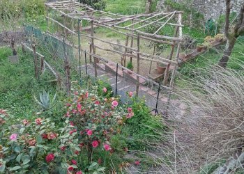 Foto 17 - Appartamento villa basilica
 
12, Villa Basilica - foto 17