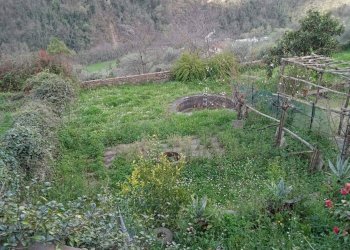 Foto 50 - Appartamento villa basilica
 
12, Villa Basilica - foto 50