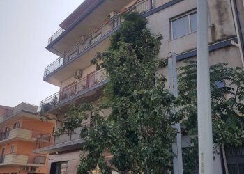 Foto 25 - Appartamento Paterno - foto 25