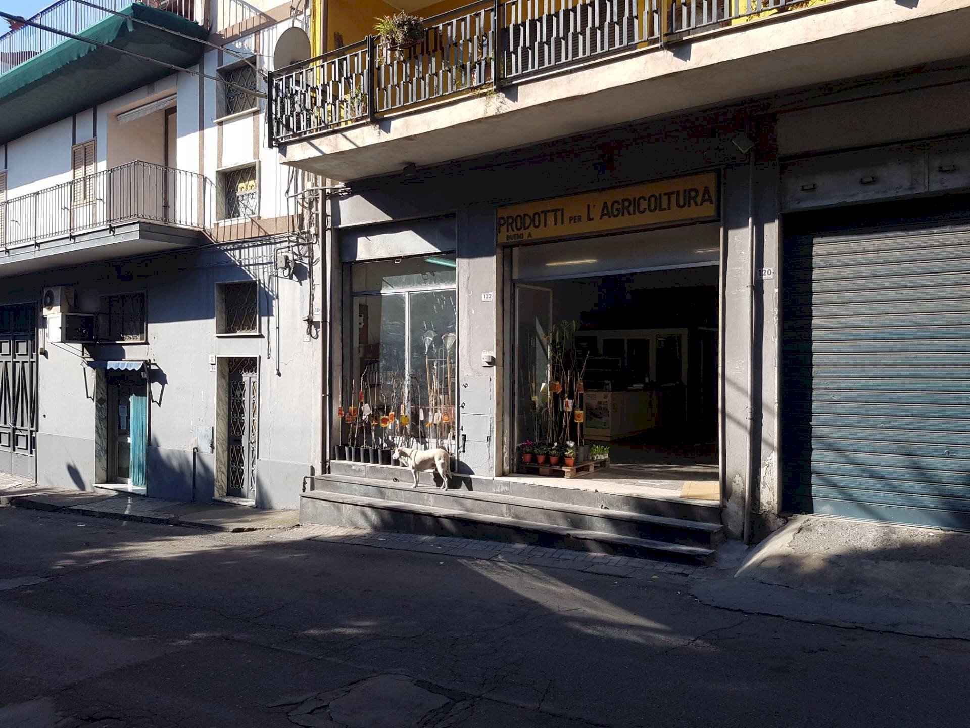 Foto 1 - Negozio Paterno - foto 1