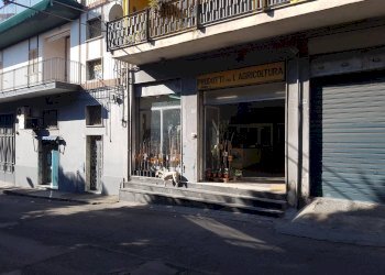 Foto 1 - Negozio Paterno - foto 1