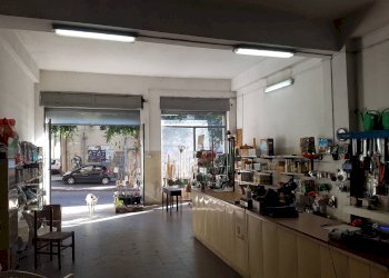 Foto 4 - Negozio Paterno - foto 4