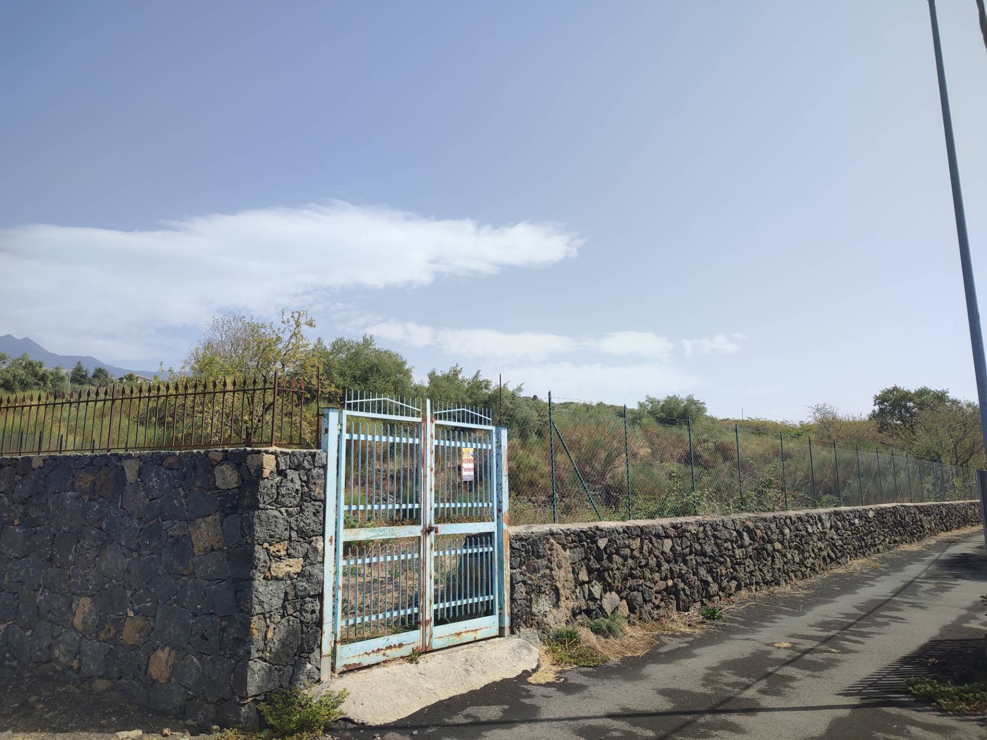 Foto 2 - Terreno agricolo Santa Maria di Licodia - foto 2