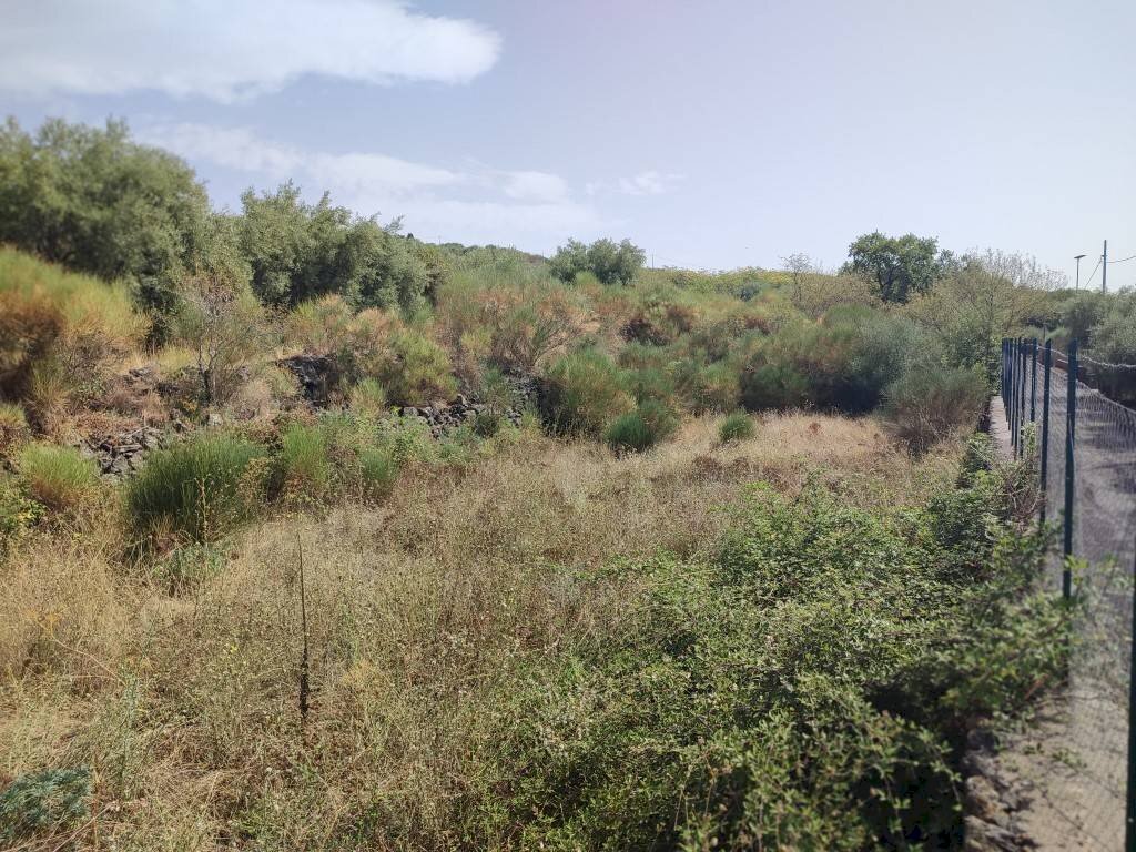 Foto 3 - Terreno agricolo Santa Maria di Licodia - foto 3