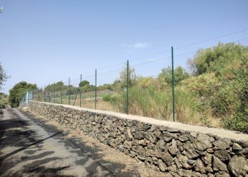 Foto 1 - Terreno agricolo Santa Maria di Licodia - foto 1