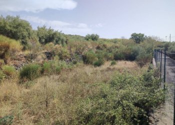 Foto 3 - Terreno agricolo Santa Maria di Licodia - foto 3