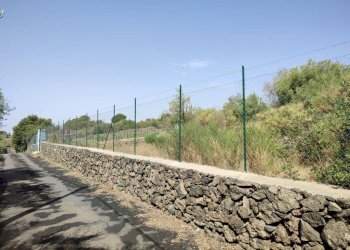 Foto 11 - Terreno agricolo Santa Maria di Licodia - foto 11