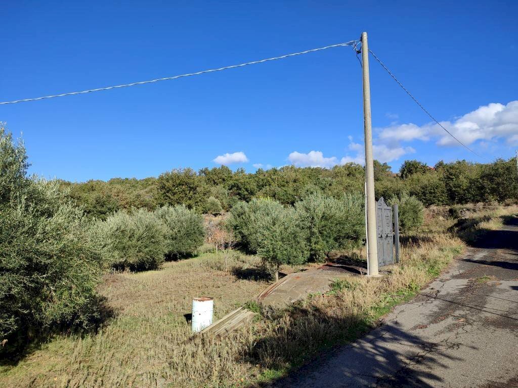 Foto 2 - Terreno agricolo Ragalna - foto 2