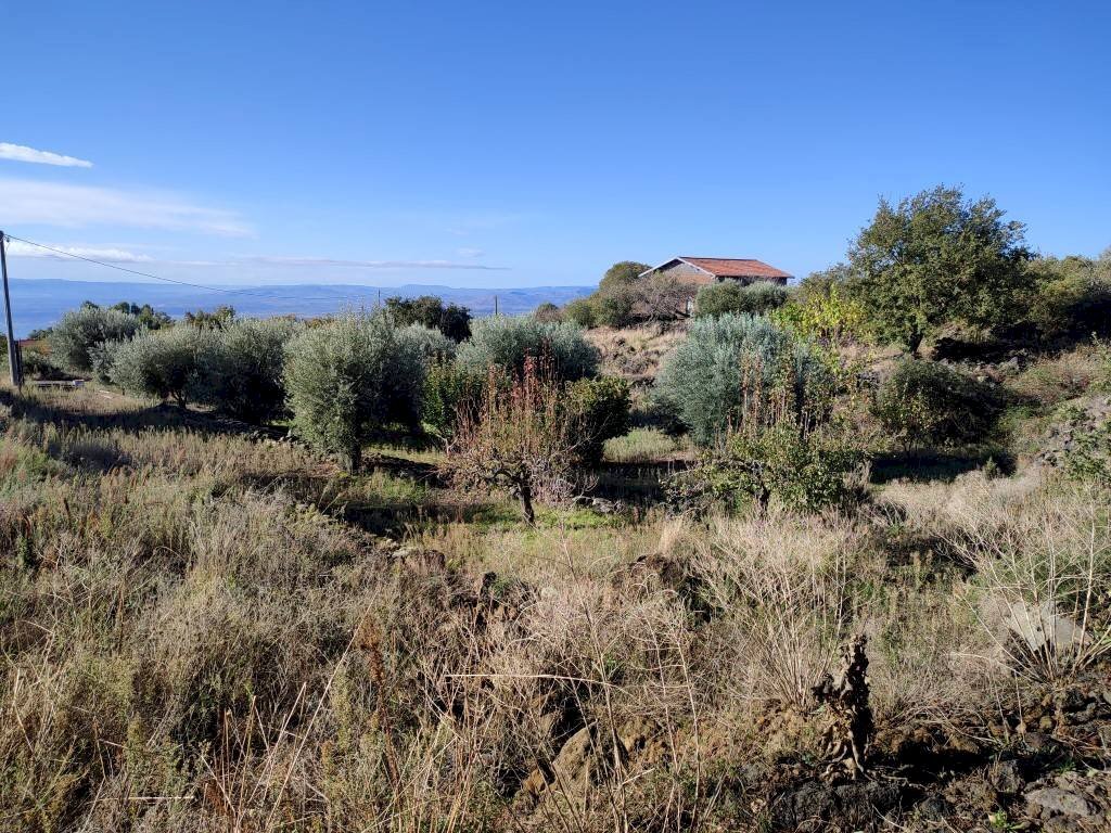 Foto 3 - Terreno agricolo Ragalna - foto 3