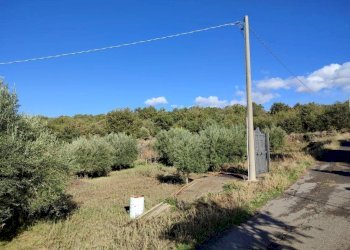 Foto 2 - Terreno agricolo Ragalna - foto 2