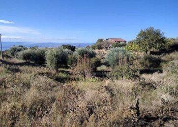 Foto 3 - Terreno agricolo Ragalna - foto 3