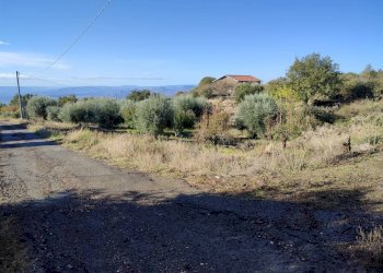 Foto 4 - Terreno agricolo Ragalna - foto 4