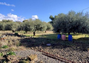 Foto 5 - Terreno agricolo Ragalna - foto 5