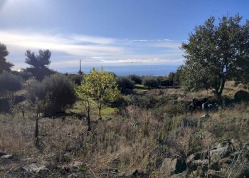 Foto 6 - Terreno agricolo Ragalna - foto 6