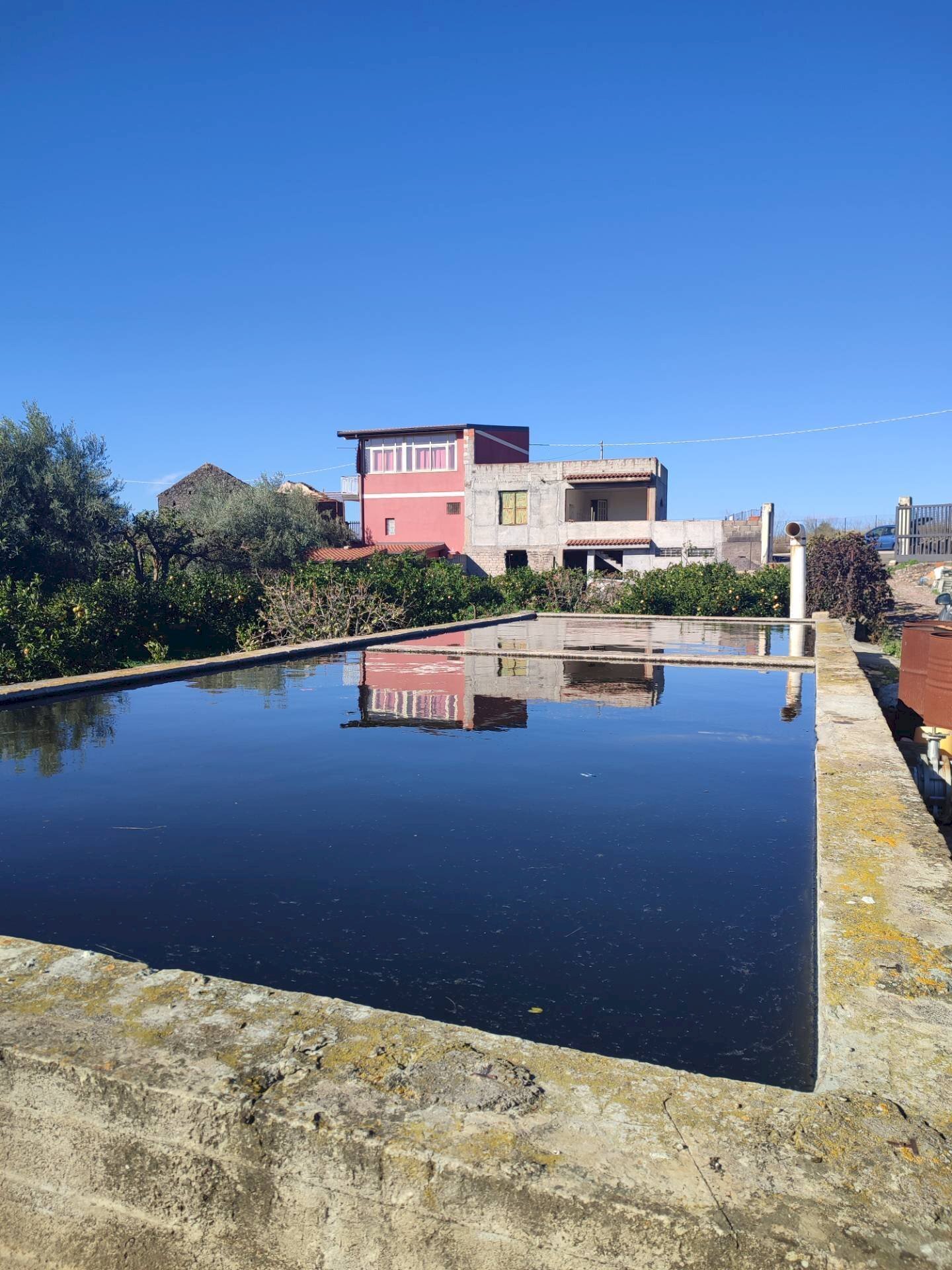 Foto 3 - Terreno agricolo Paterno - foto 3