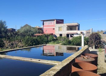 Foto 1 - Terreno agricolo Paterno - foto 1