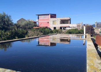 Foto 3 - Terreno agricolo Paterno - foto 3