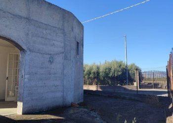 Foto 9 - Terreno agricolo Paterno - foto 9