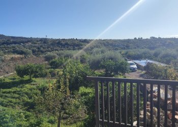 Foto 12 - Terreno agricolo Paterno - foto 12