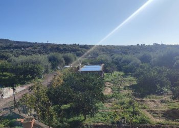 Foto 14 - Terreno agricolo Paterno - foto 14