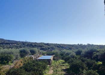 Foto 15 - Terreno agricolo Paterno - foto 15