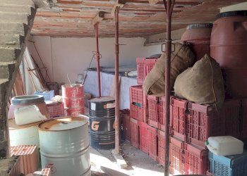 Foto 26 - Terreno agricolo Paterno - foto 26