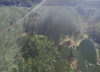 Foto 28 - Terreno agricolo Paterno - foto 28