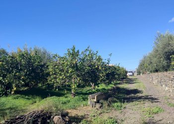 Foto 30 - Terreno agricolo Paterno - foto 30