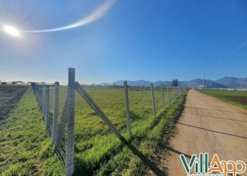 Foto 1 - Terreno agricolo Via Goffa
 
15, Fondi - foto 1