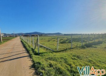 Foto 3 - Terreno agricolo Via Goffa
 
15, Fondi - foto 2