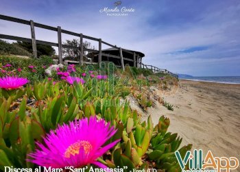 Foto 9 - Terreno agricolo Via Goffa
 
15, Fondi - foto 8