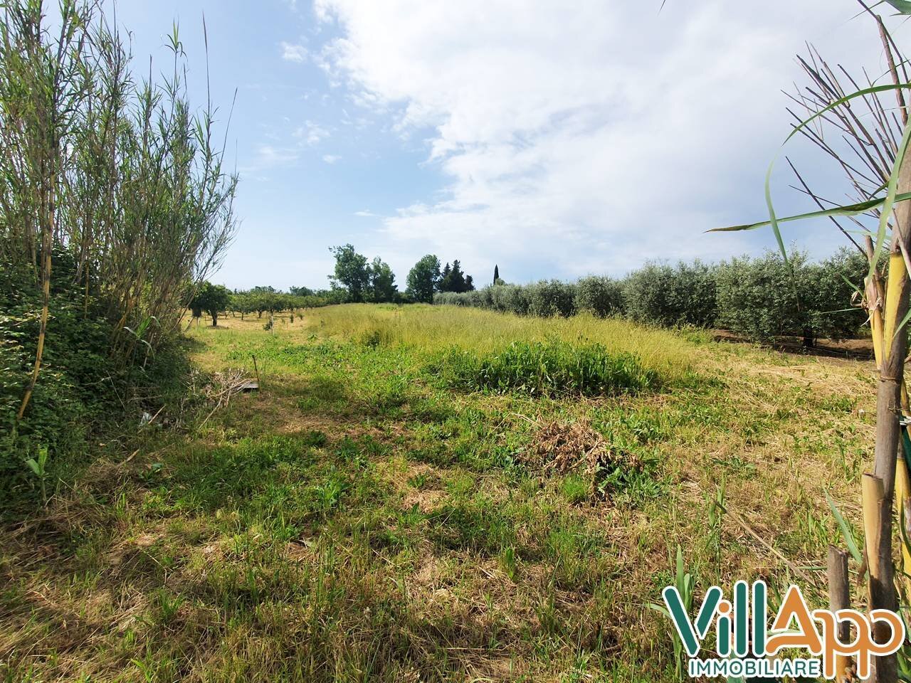 Foto 1 - Terreno agricolo Via fontanelle San marco
 
98, Fondi - foto 1