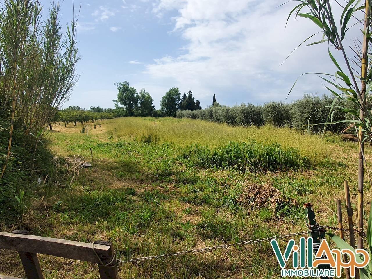 Foto 4 - Terreno agricolo Via fontanelle San marco
98, Fondi - foto 3