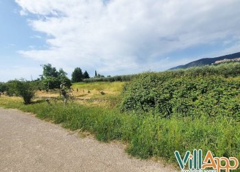 Foto 2 - Terreno agricolo Via fontanelle San marco
 
98, Fondi - foto 2