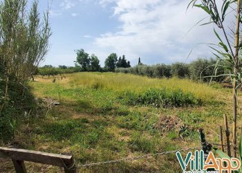 Foto 4 - Terreno agricolo Via fontanelle San marco
 
98, Fondi - foto 3