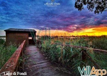 Foto 7 - Terreno agricolo Via dei Moi
 
15, Fondi - foto 6