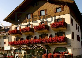 Foto 2 - Commercial Activity via Armando Diaz
 
88, Tarvisio - photo 2