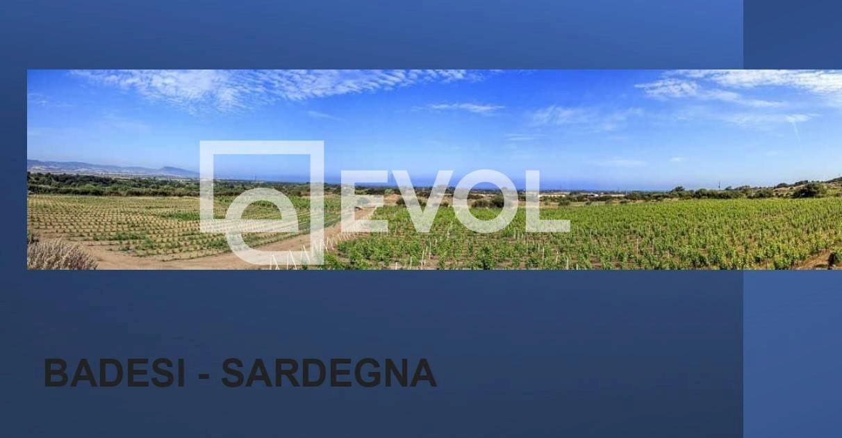 Foto 1 - Terreno agricolo SP 90
 
1, Badesi - foto 1