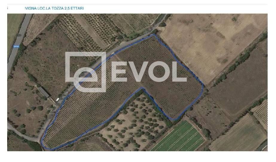 Foto 3 - Terreno agricolo SP 90
 
1, Badesi - foto 3