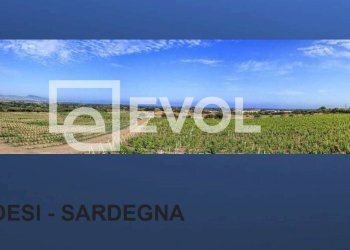 Foto 1 - Terreno agricolo SP 90
 
1, Badesi - foto 1