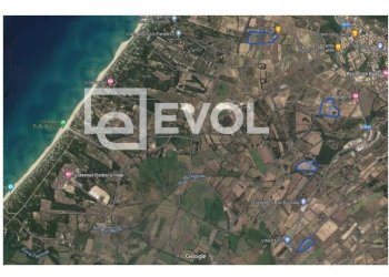 Foto 2 - Terreno agricolo SP 90
 
1, Badesi - foto 2